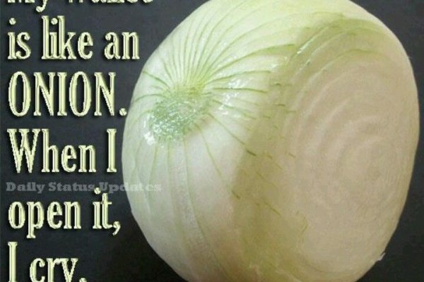 Mega sb onion